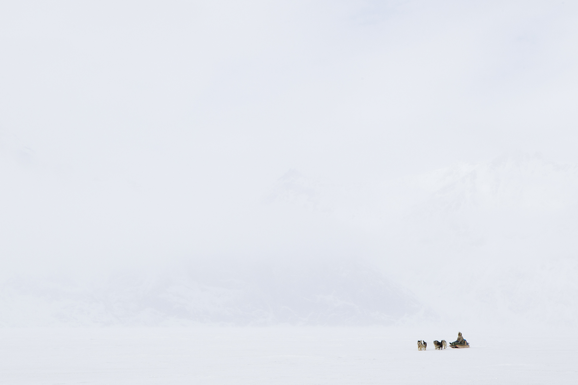 An inuit rides his dog sled through Sam Ford Fjord through a blizzard on Baffin Island/Photo by Krystle Wright