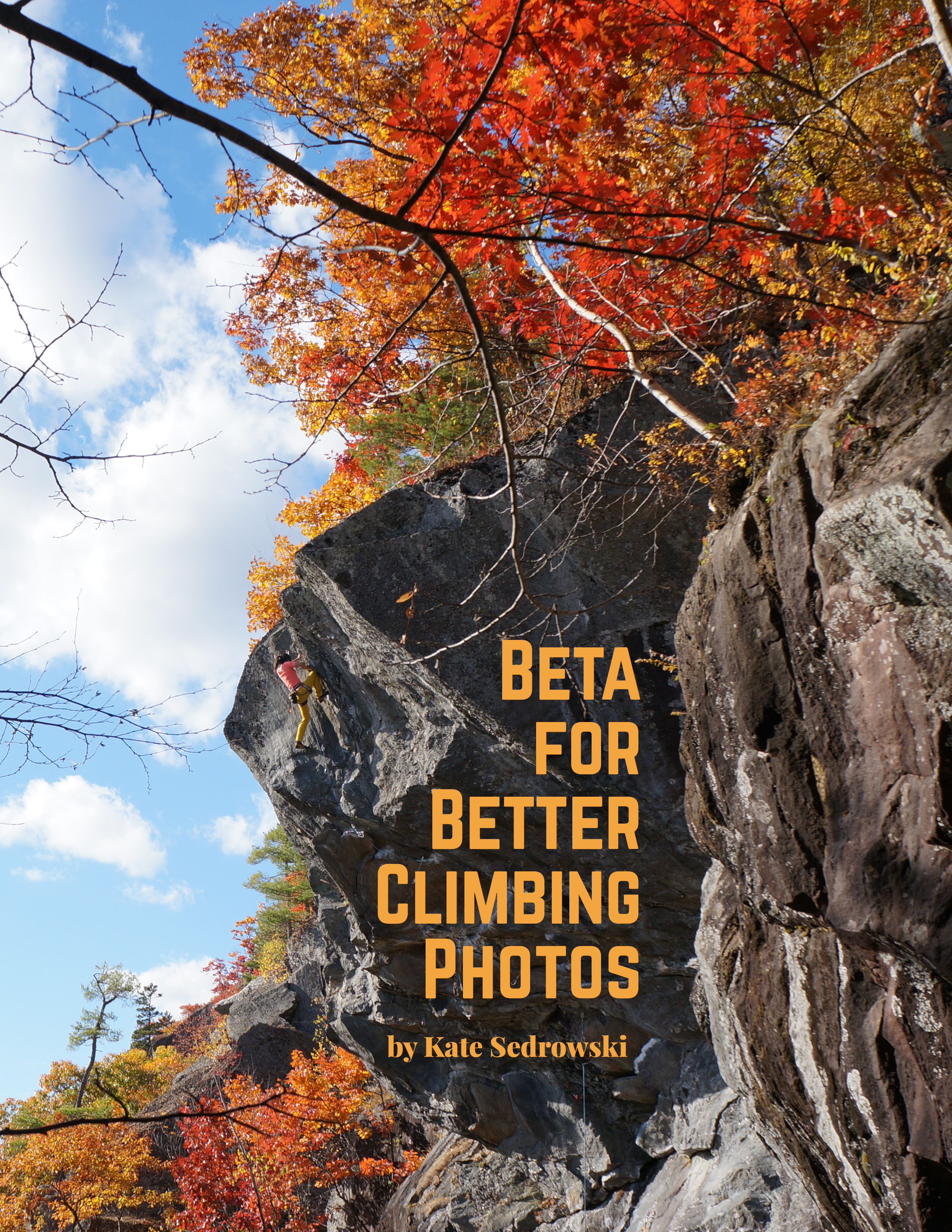beta photos cover